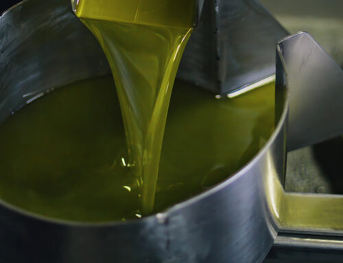 Κατηγορίες Ελαιολάδου με βάση την Ευρωπαϊκή κατάταξη